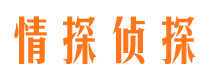 滨湖侦探调查公司